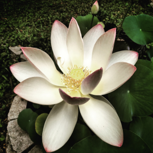 inner healing (1)